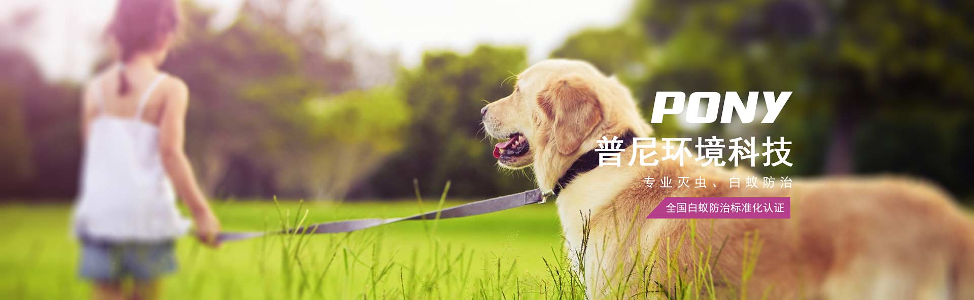 企業(yè)包裝，客戶要求，招投標(biāo)必備